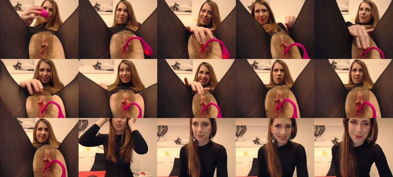 cat_on_show-MFC-201811052028_m.jpg