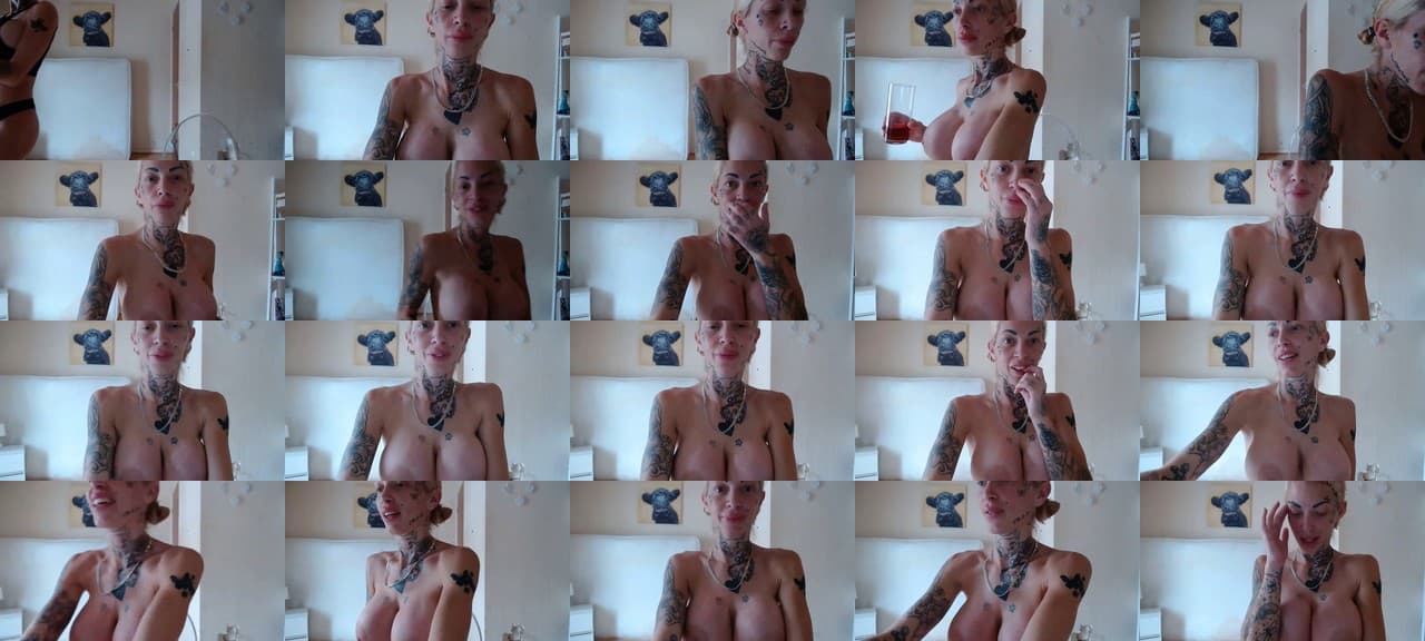 Foxy_Jay22-MFC-202208171630_m.jpg