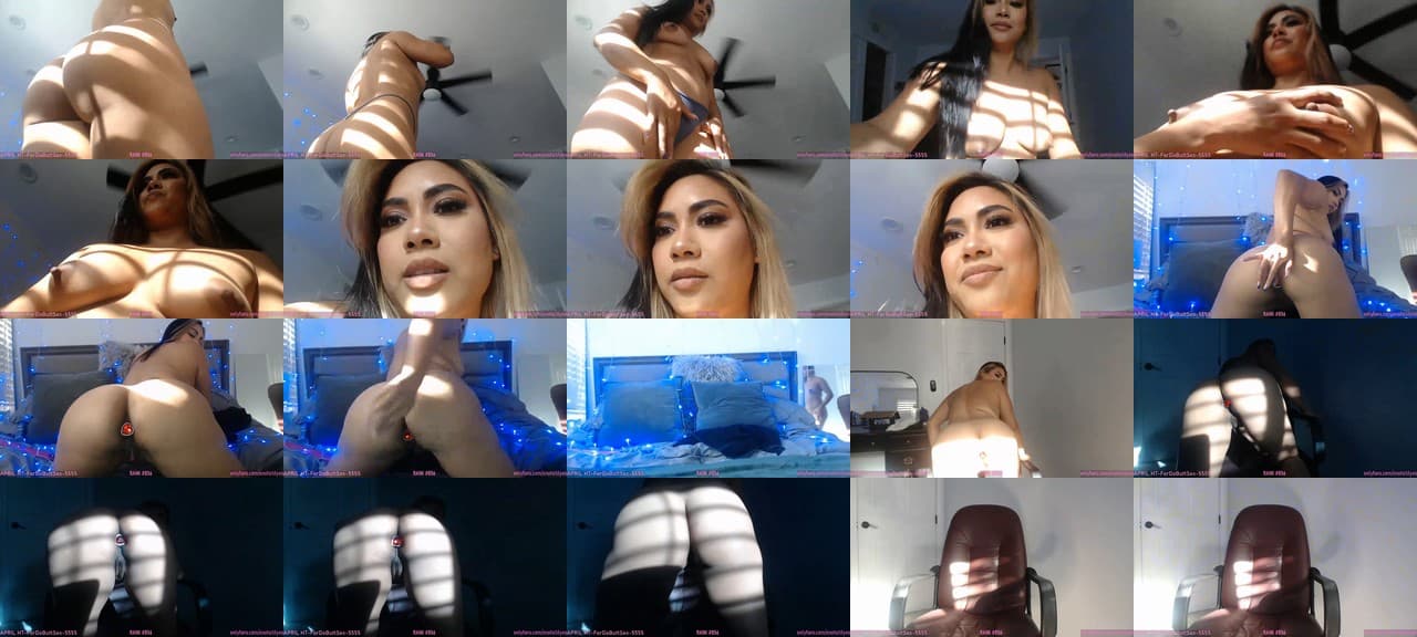ExoticLilyXO-MFC-202204132340_m.jpg