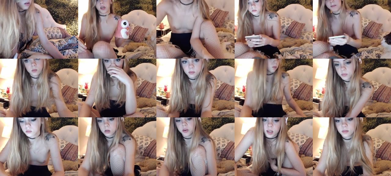 Kitten_xx-MFC-201602050827_m.jpg